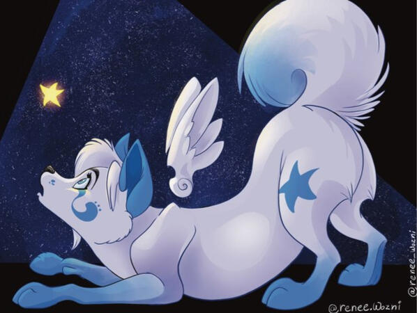 Waiting for a Star to Fall (Ifus)